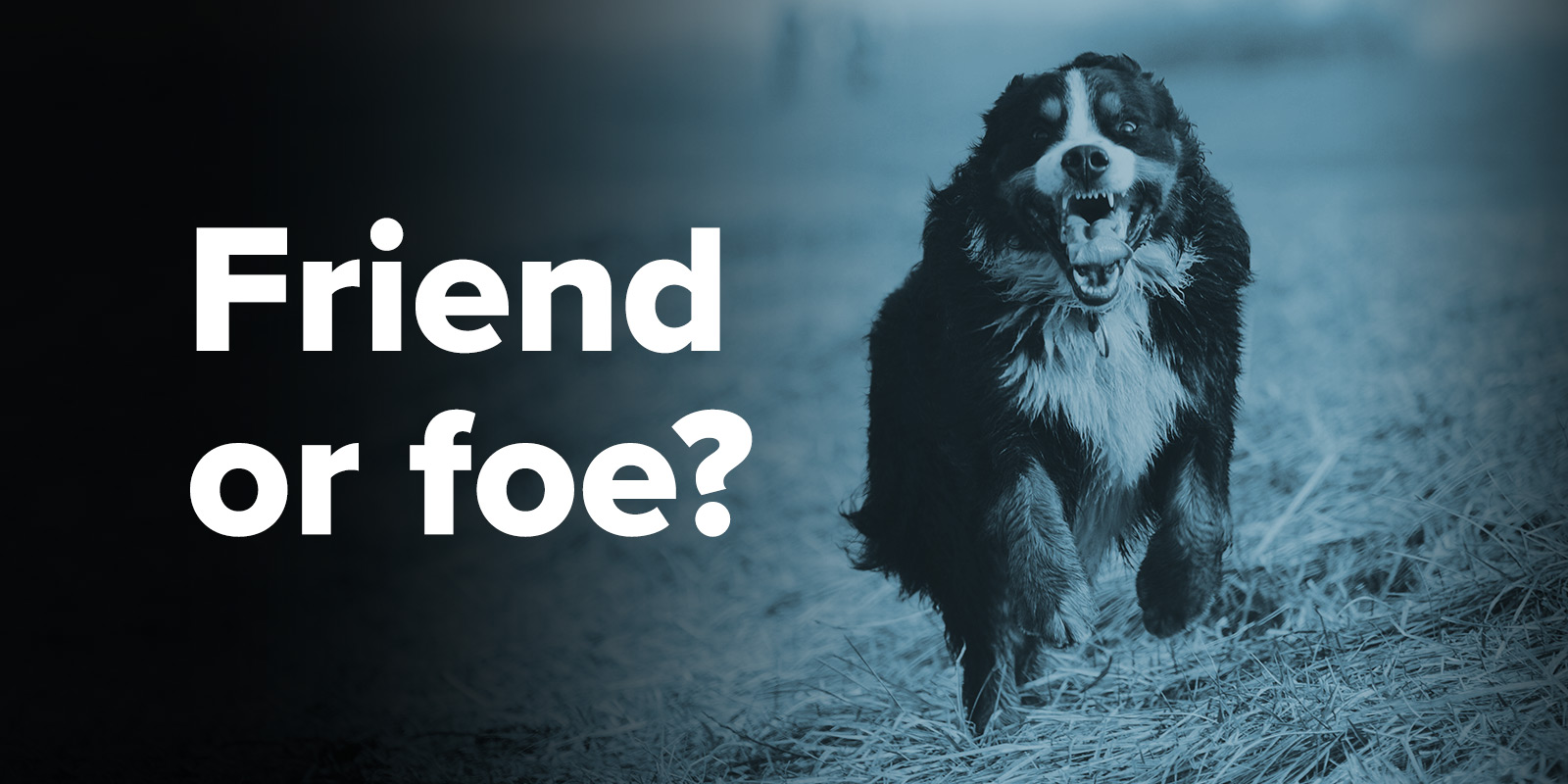 If You Know What’s Coming, Prepare For It